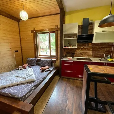 Gostyniy Dvir Petrovski וורוכטה