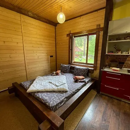 Gostyniy Dvir Petrovski וורוכטה